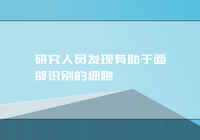 研究人员发现有助于面部识别的细胞